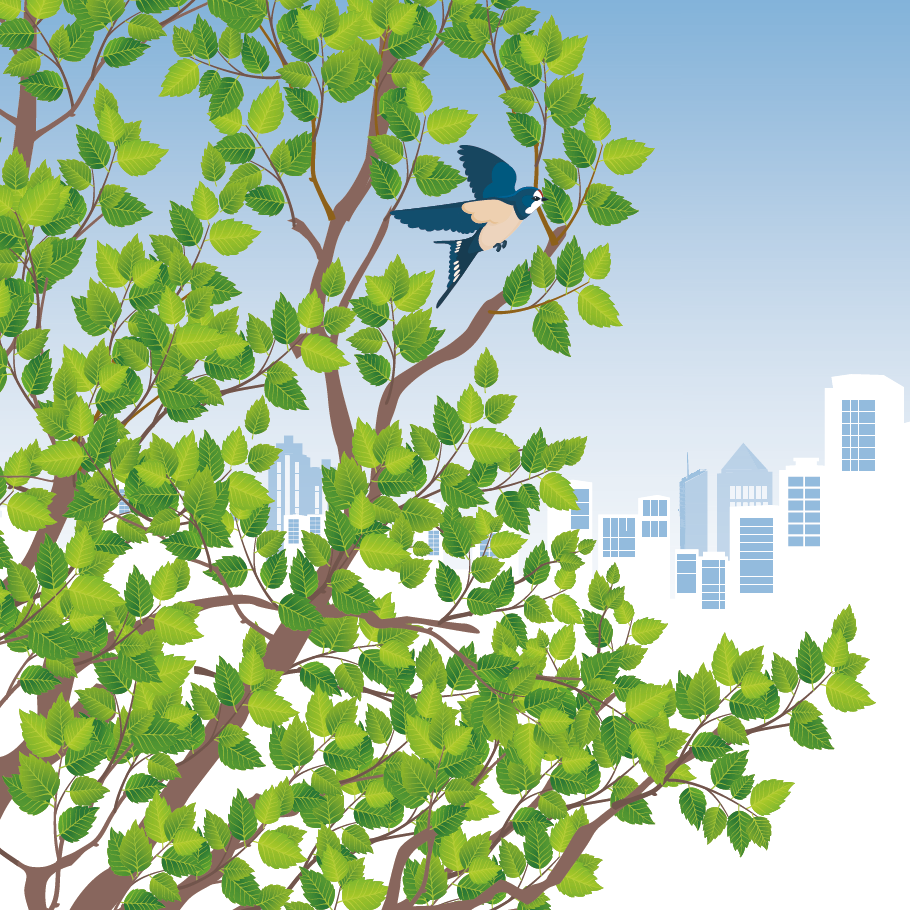 Illustration d'un oiseau sur un arbre, avec les contours d'une ville en fond